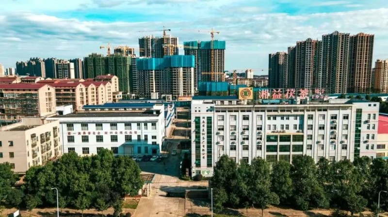 集团益阳茶厂作为益阳市唯一企业入选首批省级非物质文化遗产生产性保护基地彰显非遗传承硬实力 集团益阳茶厂作为益阳市唯一企业入选首批省级非物质文化遗产生产性保护基地彰显非遗传承硬实力