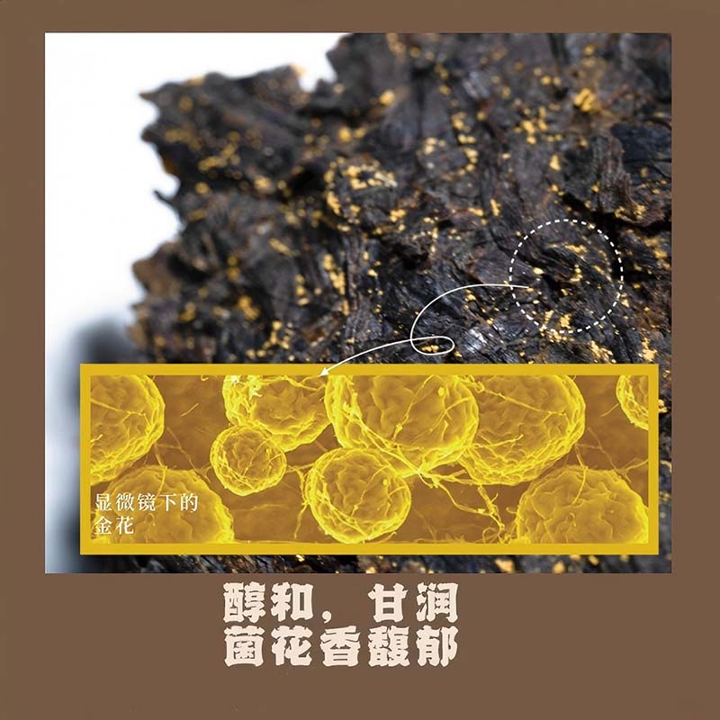 茶变