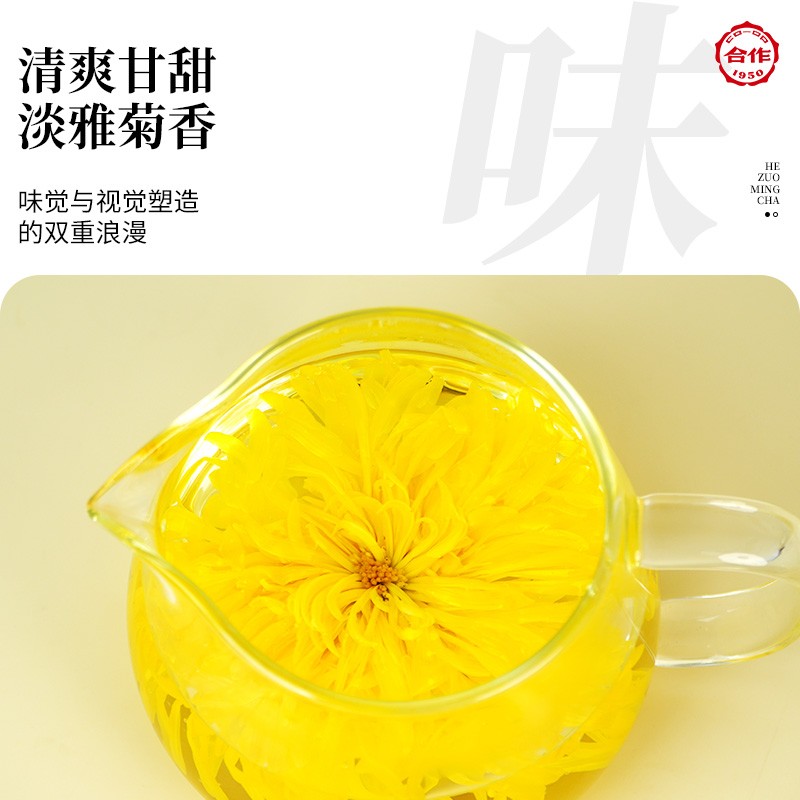 金丝皇菊