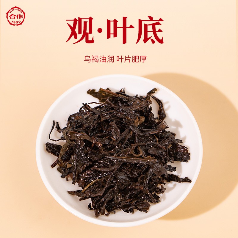 茯禄双全·黑茶茯茶