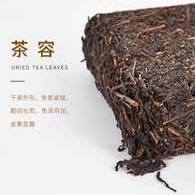 初心·2019